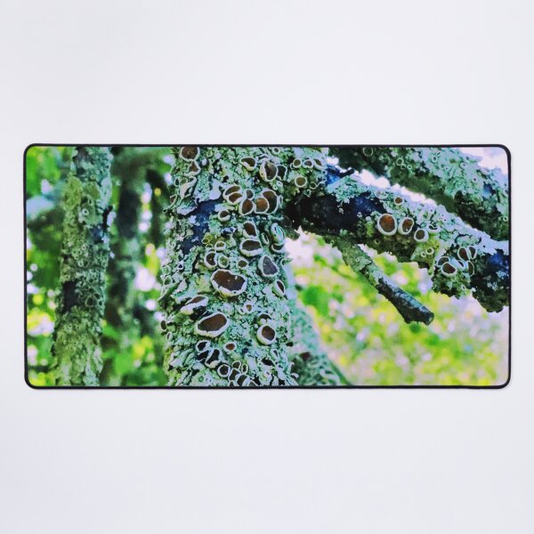 Item preview, Growth designed and sold by Geoff Treagus.