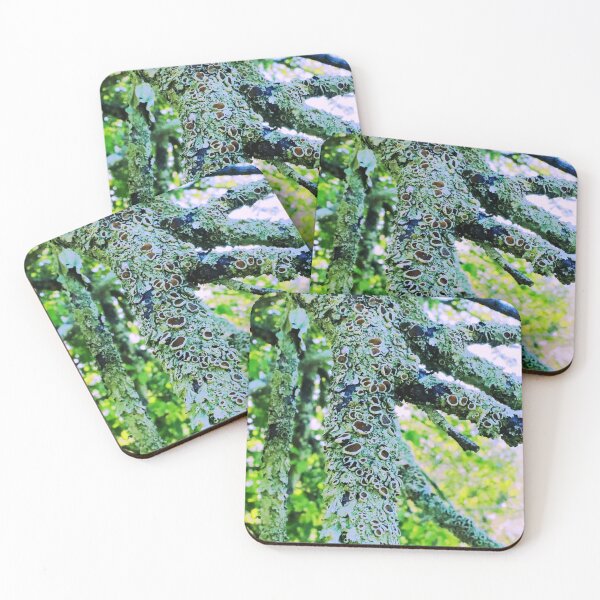 Item preview, Growth designed and sold by Geoff Treagus.