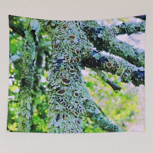 Item preview, Growth designed and sold by Geoff Treagus.
