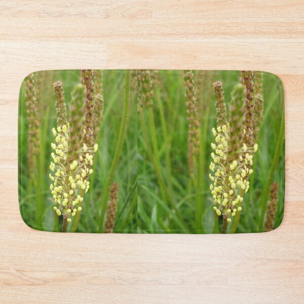 Item preview, Plantain Wildflower On Mull Head, Orkney designed and sold by lezvee.