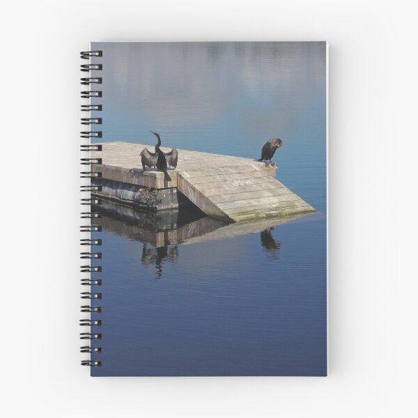 Item preview, Anhinga Hangout designed and sold by John  Kapusta.