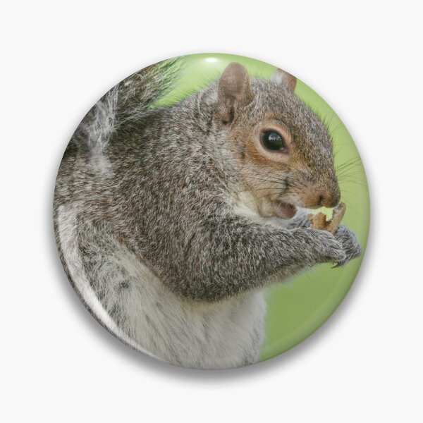 Item preview, Squirrel designed and sold by Hike-and-Click.