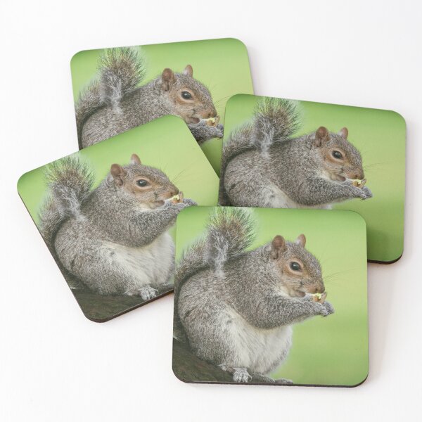 Item preview, Squirrel designed and sold by Hike-and-Click.
