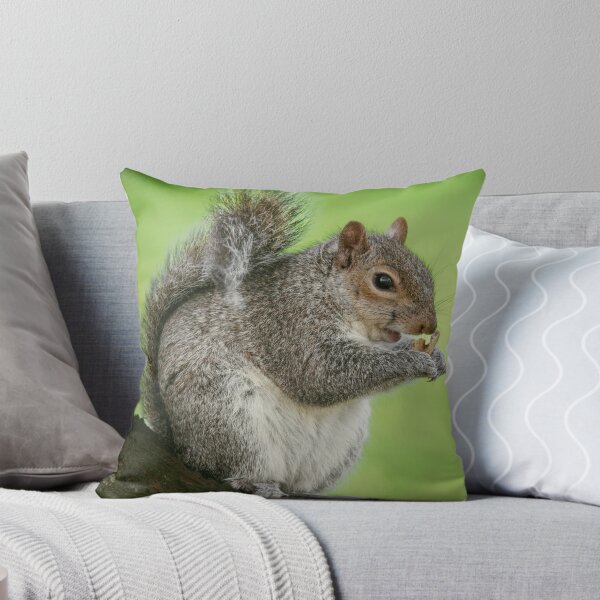 Item preview, Squirrel designed and sold by Hike-and-Click.