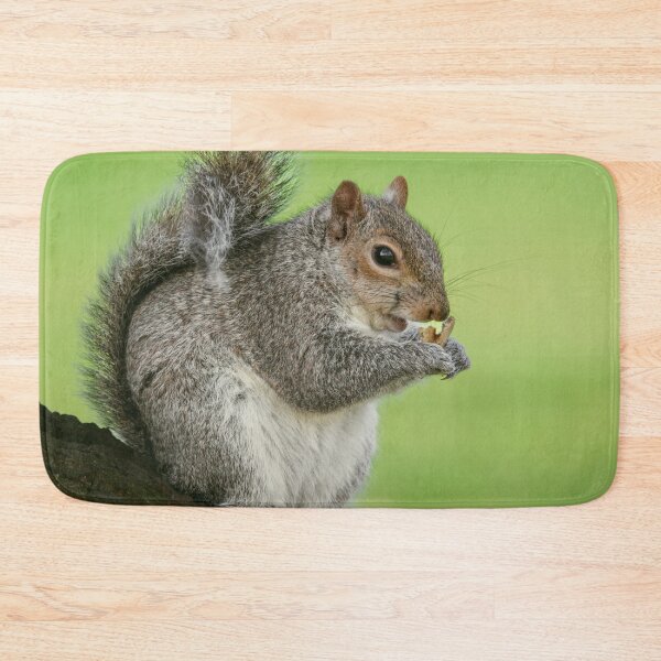 Item preview, Squirrel designed and sold by Hike-and-Click.