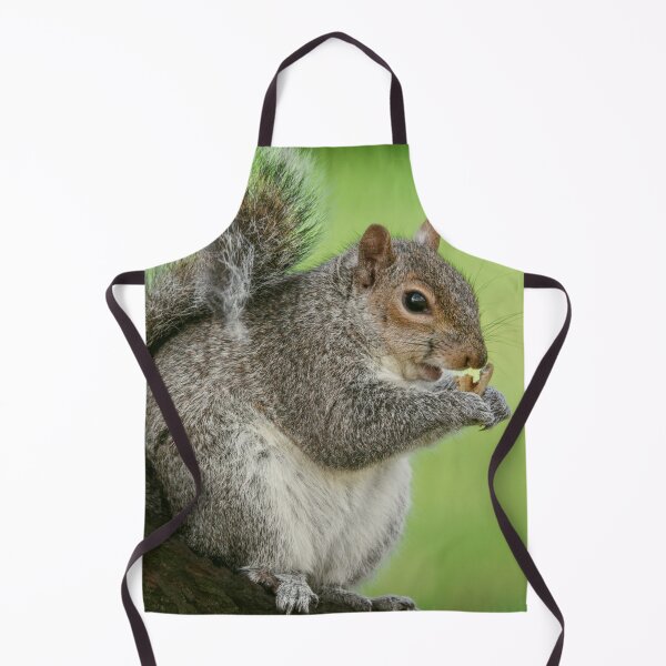 Item preview, Squirrel designed and sold by Hike-and-Click.