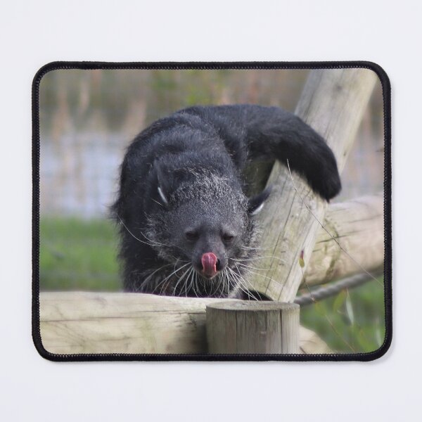 Item preview, Binturong Blep designed and sold by Ladymoose.