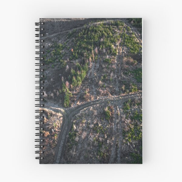 Item preview, Drone Photography - Light and Shadow, Combined with Symmetry of Forest Trails for a Dreamy Nature Shot designed and sold by TRex-Landscapes.
