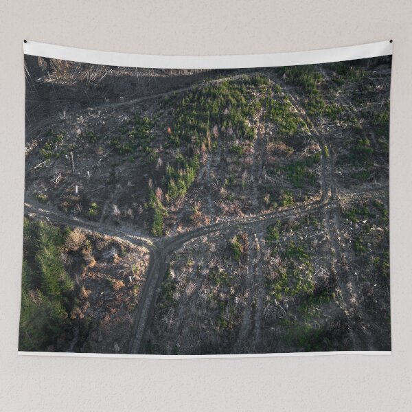 Item preview, Drone Photography - Light and Shadow, Combined with Symmetry of Forest Trails for a Dreamy Nature Shot designed and sold by TRex-Landscapes.