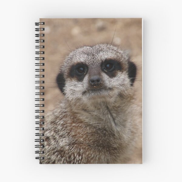 Item preview, look into my eyes - meerkat designed and sold by Perggals© - Stacey Turner.