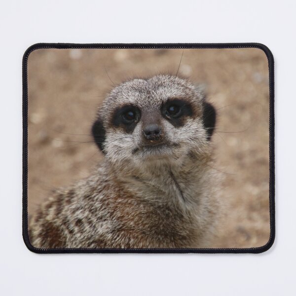 Item preview, look into my eyes - meerkat designed and sold by Perggals© - Stacey Turner.
