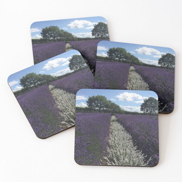 Item preview, Purple and White at Norfolk Lavender designed and sold by Billlee.