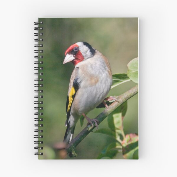 Item preview, Goldfinch designed and sold by Krys Bailey.