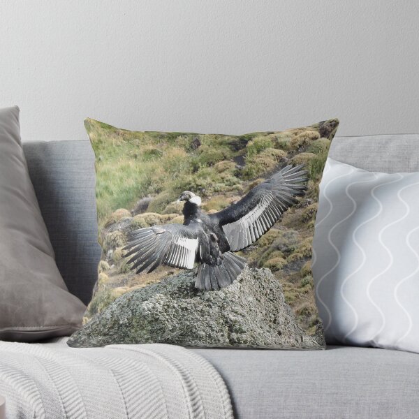 Item preview, Andean Condor designed and sold by Graeme  Hyde.