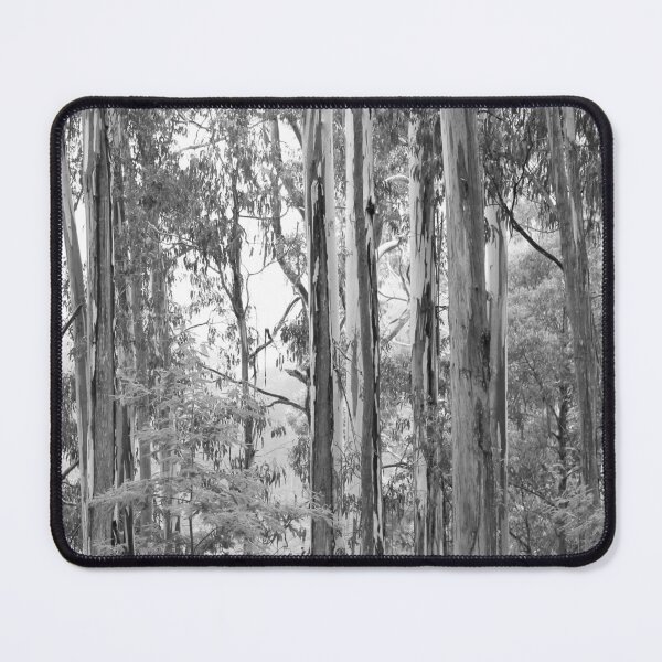 Item preview, Eucalyptus Trees, Mount Buller, Victoria, Australia designed and sold by Kathie Nichols.