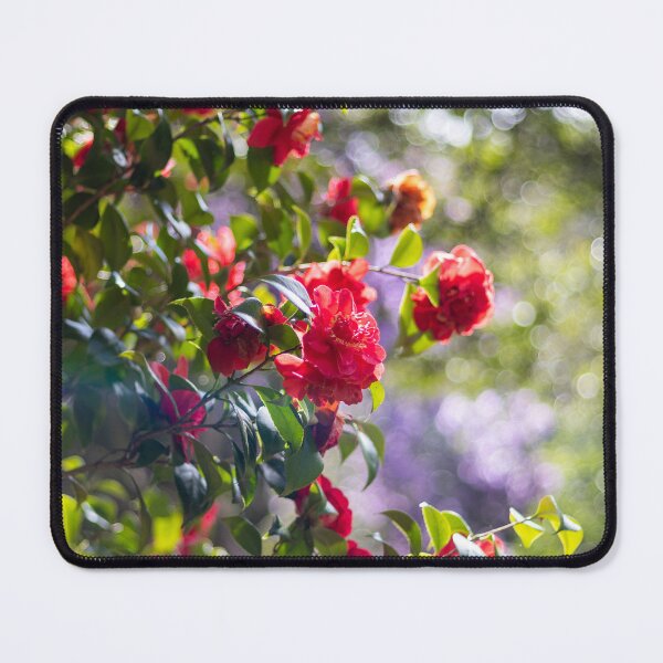 Item preview, Red flower in the sun designed and sold by Benkilbeyprints.