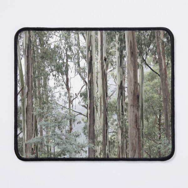 Item preview, Eucalyptus Trees, Mount Buller, Victoria, Australia designed and sold by Kathie Nichols.