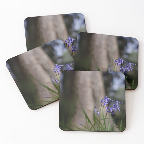 Item preview, Bluebell bundle in the woods designed and sold by Benkilbeyprints.