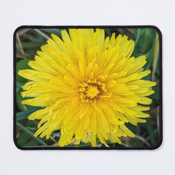 Item preview, Dandelion designed and sold by ThistlesCards.
