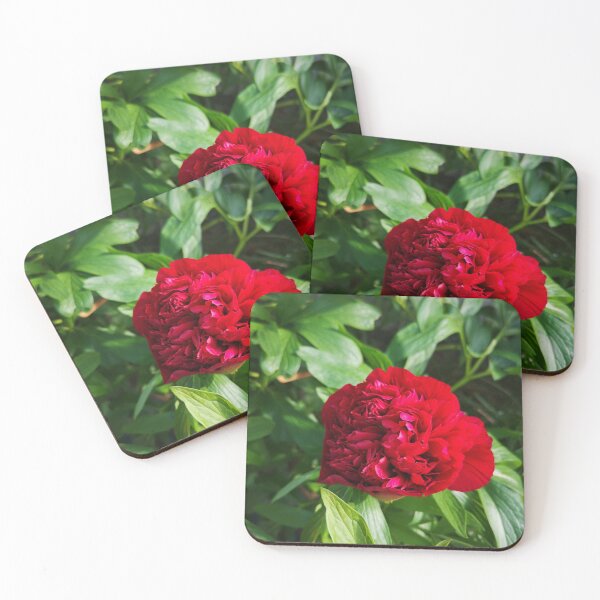 Item preview, Ruby Red Peony designed and sold by ThistlesCards.