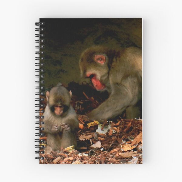 Item preview, Mother and Baby Monkey designed and sold by Geoff Treagus.