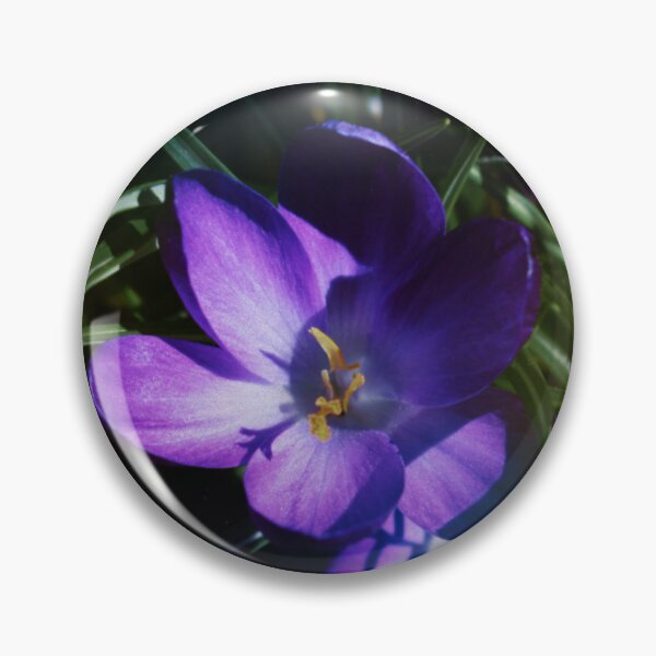 Item preview, The Gift of Color designed and sold by Melanie Uadjit.