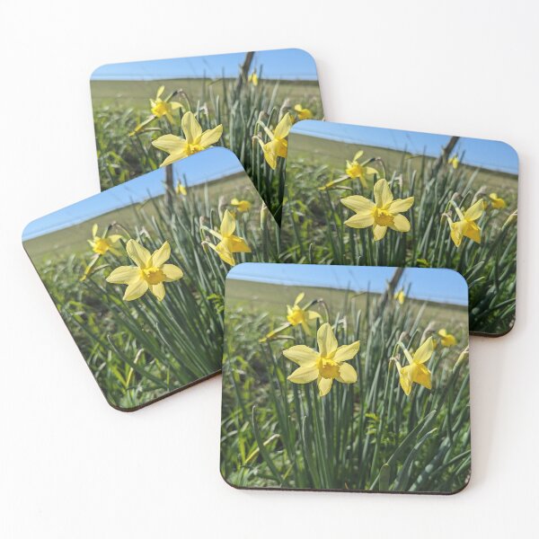 Item preview, Spring Daffodils designed and sold by ThistlesCards.