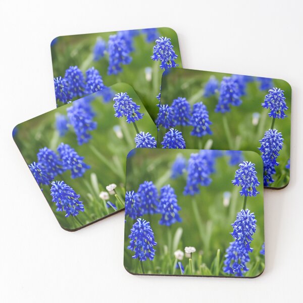 Item preview, Blue Muscari - beautiful blue flowers designed and sold by Rostislav Bouda.