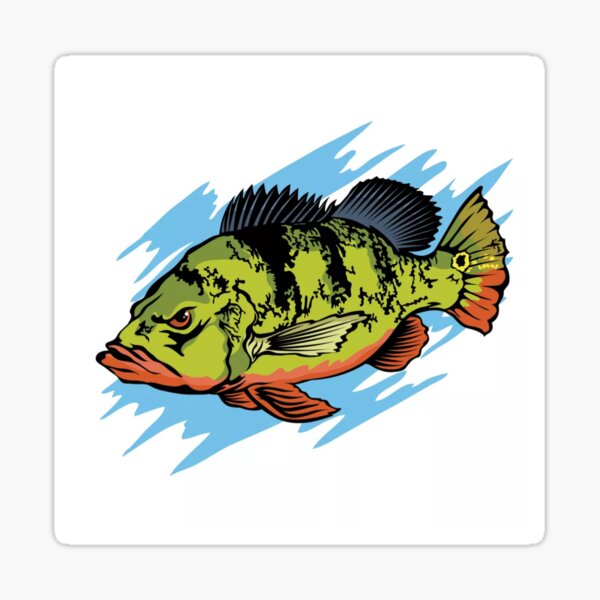 Peacock Bass Stickers for Sale, Free US Shipping