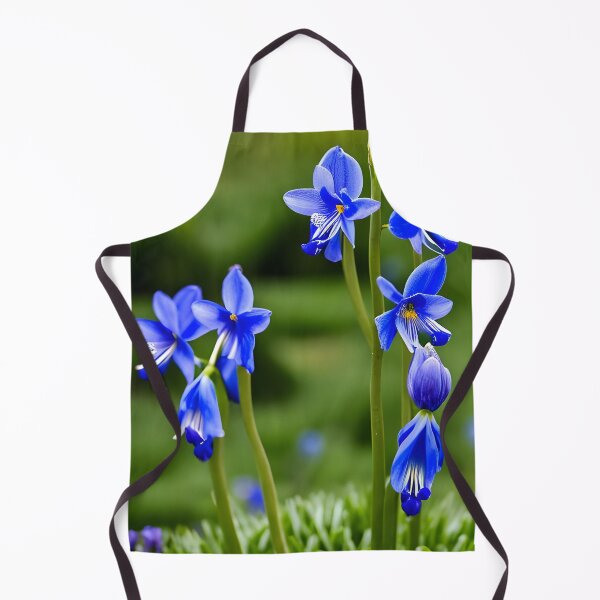 Item preview, Aristea ecklonii – blue-eyed iris, designed and sold by Rostislav Bouda.