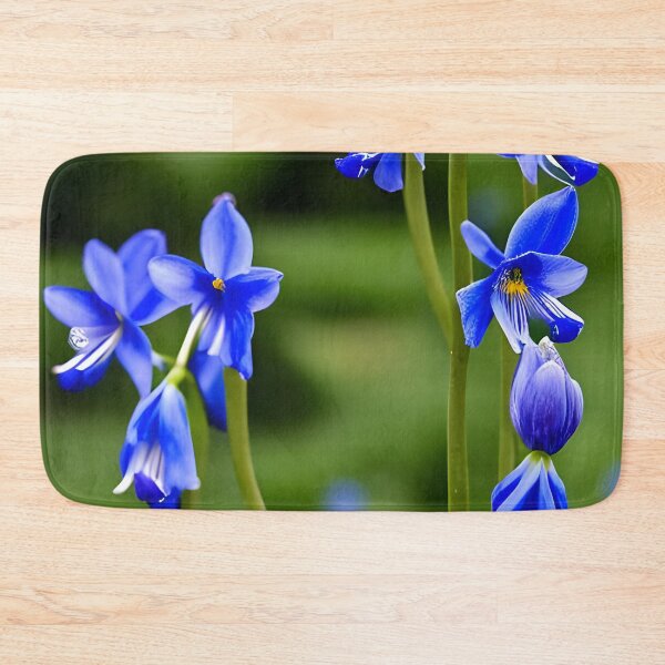 Item preview, Aristea ecklonii – blue-eyed iris, designed and sold by Rostislav Bouda.