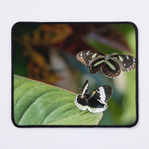 Item preview, Rejected Suitor designed and sold by Cathy Donohoue.