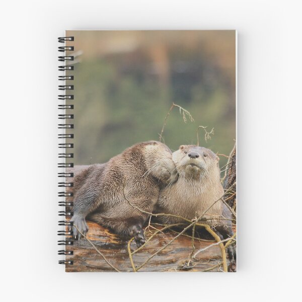 Item preview, Sibling River Otters, Lost Lagoon, Stanley Park BC designed and sold by THurdCreations.