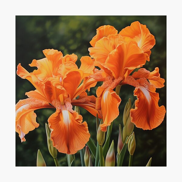 Artikelvorschau, Orange Irises  entworfen und verkauft von Vanover Designs.