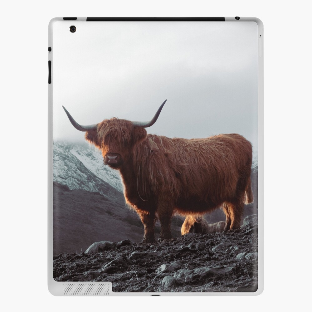 Item preview, iPad Skin designed and sold by Hike-and-Click.