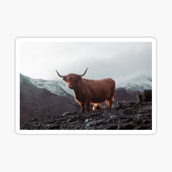 Item preview, Highland Cow with snowy peaked mountains designed and sold by Hike-and-Click.