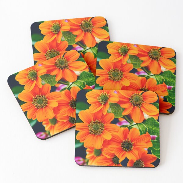 Item preview, Marigold (Calendula officinalis) - medicinal herb designed and sold by Rostislav Bouda.