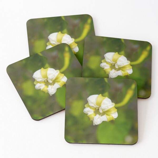 Item preview, Moon Flower designed and sold by TinyDinoDesigns.