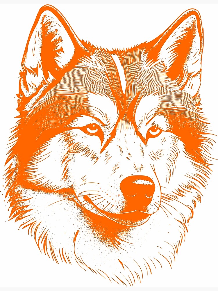 Malamute orange store