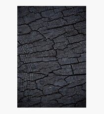 Old End Grain Photographic Print