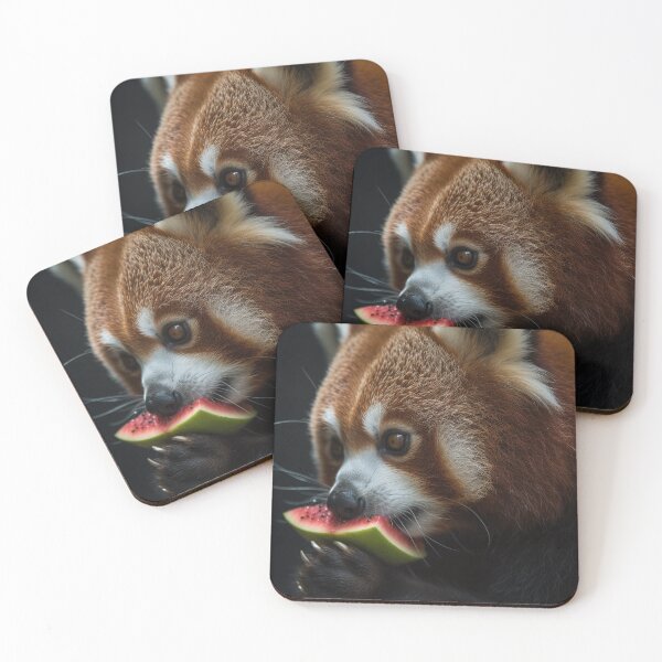 Item preview, Breathtaking Photography of Beautiful Red Panda designed and sold by Junkie Ai.