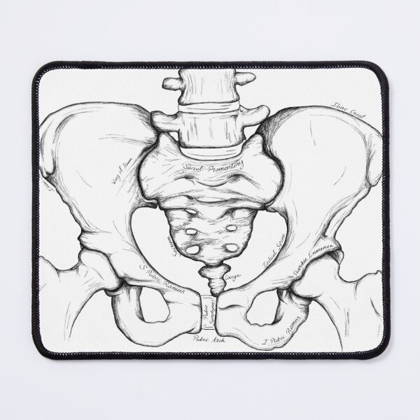 Item preview, Wanderers Pelvis designed and sold by WanderingGoose.