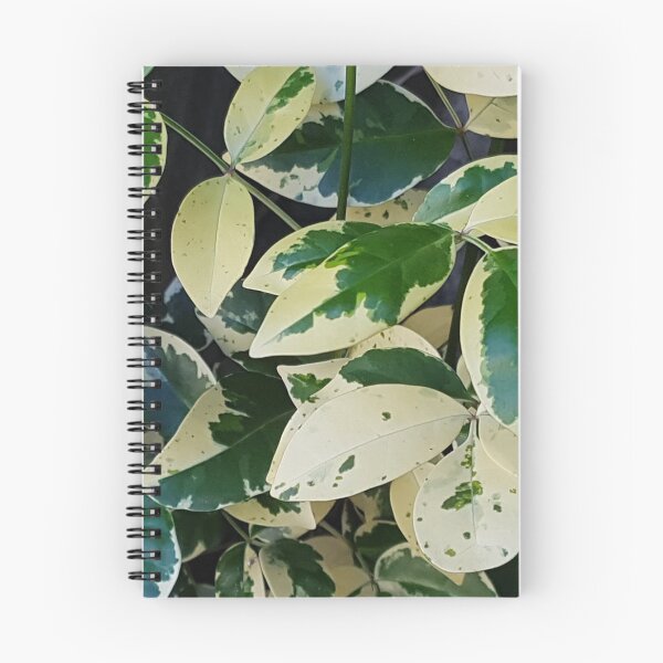 Item preview, Leaves designed and sold by Naomi80.