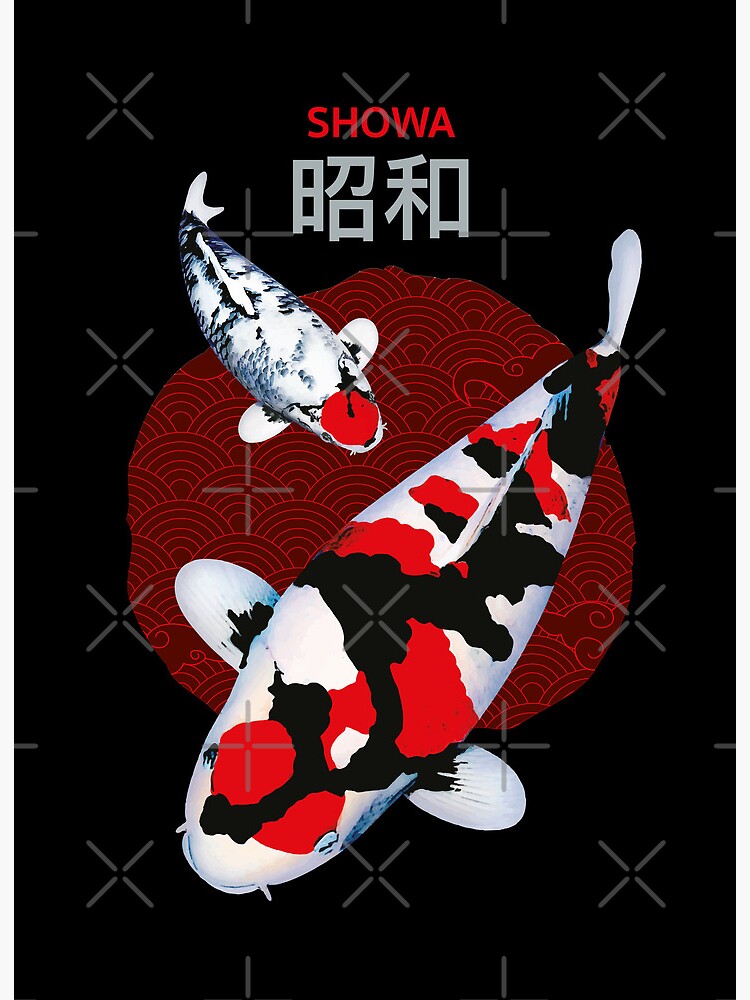 Japanese Koi Fish Art | Art Board Print