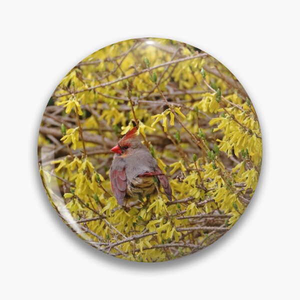 Item preview, Forsythia Visitor designed and sold by Deb Oppermann.