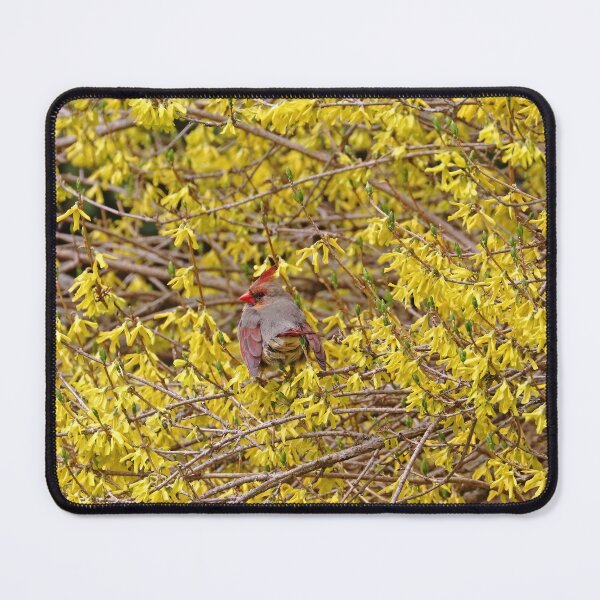 Item preview, Forsythia Visitor designed and sold by Deb Oppermann.