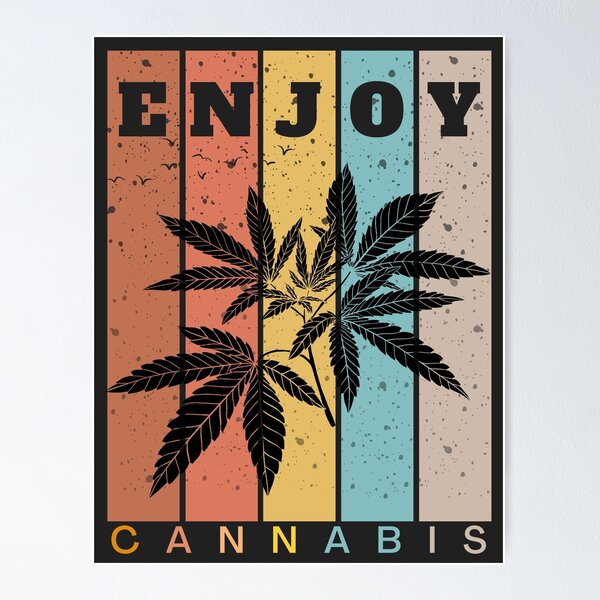 Grande Fine Della Foglia Della Marijuana Su Con Il Fondo Di Struttura Delle Foglie Della Cannabis Image65007772 - Foto 7