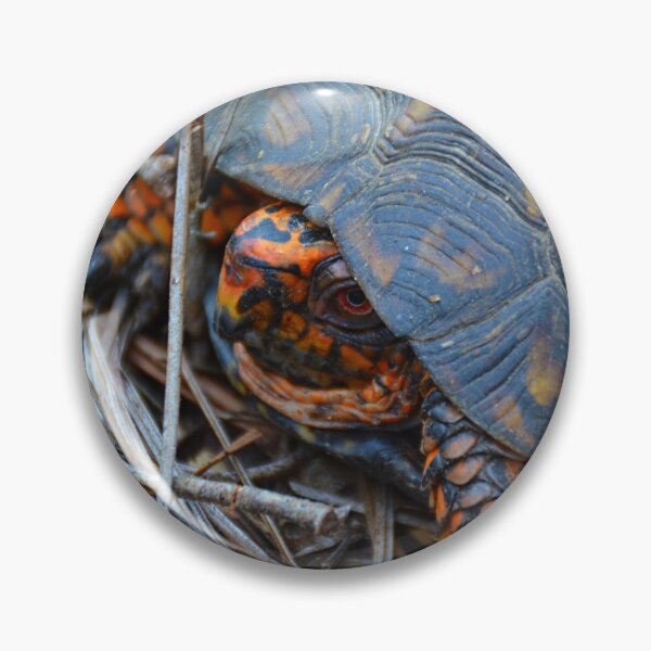 Item preview, Box Turtle designed and sold by LisaWootenPhoto.