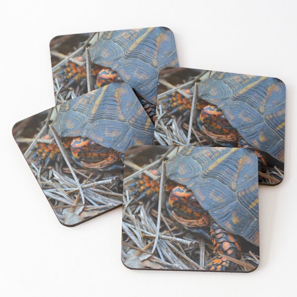 Item preview, Box Turtle designed and sold by LisaWootenPhoto.