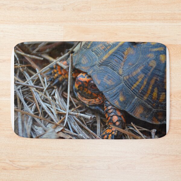 Item preview, Box Turtle designed and sold by LisaWootenPhoto.